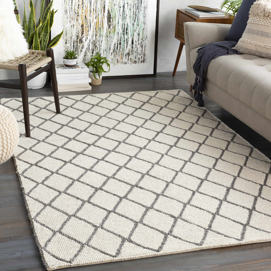 Whistler WSR-2304 Hand Woven Rug