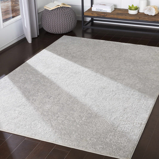 Aisha AIS-2306 Machine Woven Rug