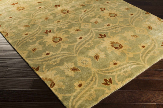 Ainsley AIN-1014 Hand Knotted Rug