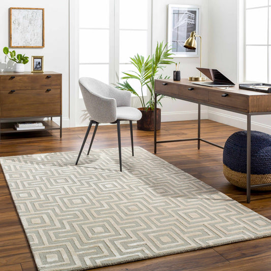 Addison ADD-2301 Handmade Rug