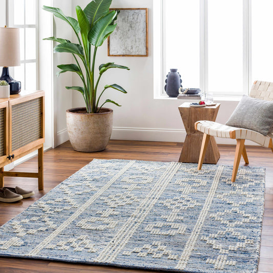 Nadine NDD-2304 Hand Woven Rug