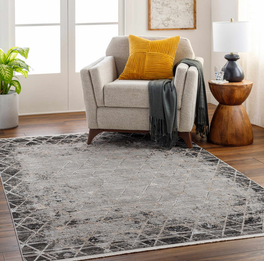 Obsession OBN-2301 Machine Woven Rug