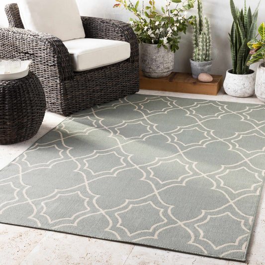 Alfresco ALF-9589 Machine Woven Rug