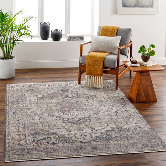 Alfombra decorativa tejida a máquina Aida AAD-2311 de 2' x 3'