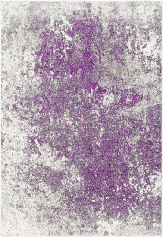 Aberdine ABE-8026 2' x 3' Machine Woven Accent Rug