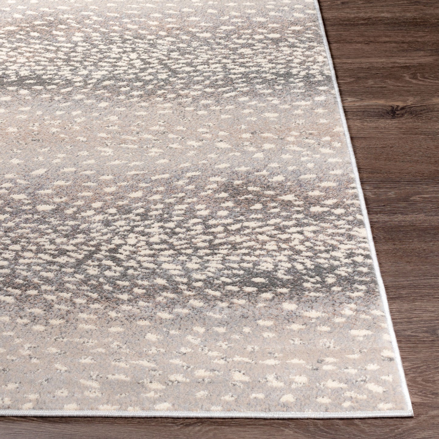 Alfombra decorativa tejida a máquina Amadeo ADO-1021 de 2' x 3'