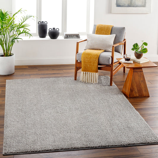 Alfombra AFB-2303 5' x 7' Machine Woven Washable Area Rug