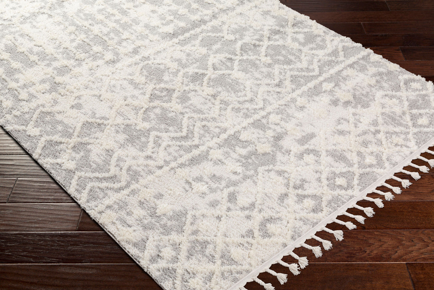 Alhambra AHB-2307 5' x 7' Machine Woven Area Rug