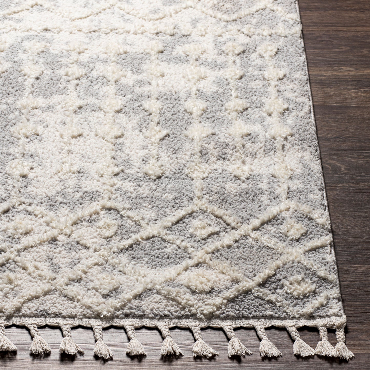 Alhambra AHB-2307 5' x 7' Machine Woven Area Rug