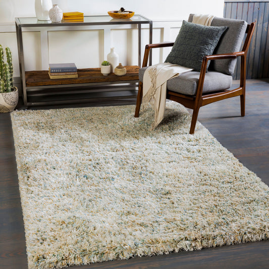 Anaheim AHM-2300 2' x 3' Handmade Accent Rug