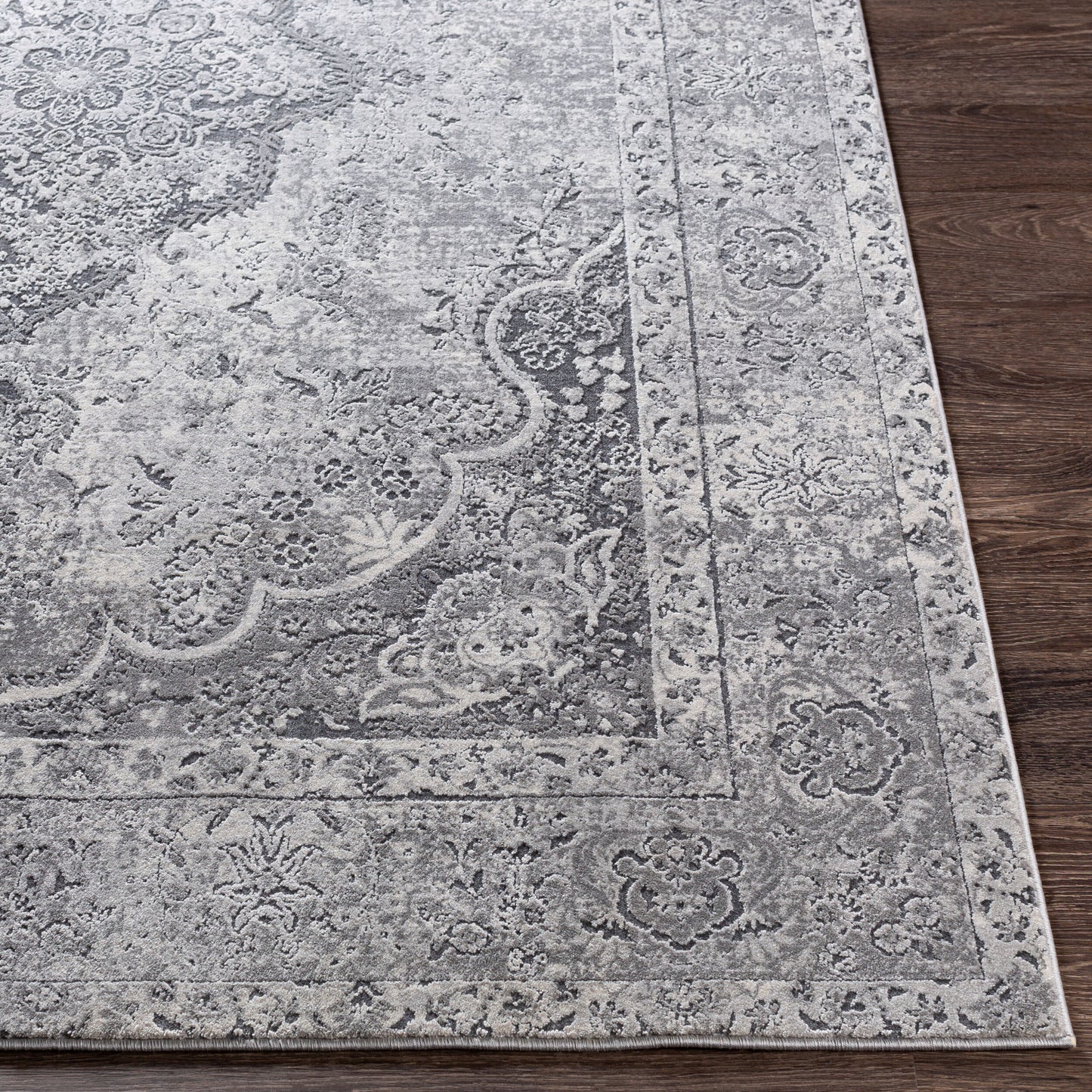 Aisha AIS-2319 2' x 3' Machine Woven Accent Rug