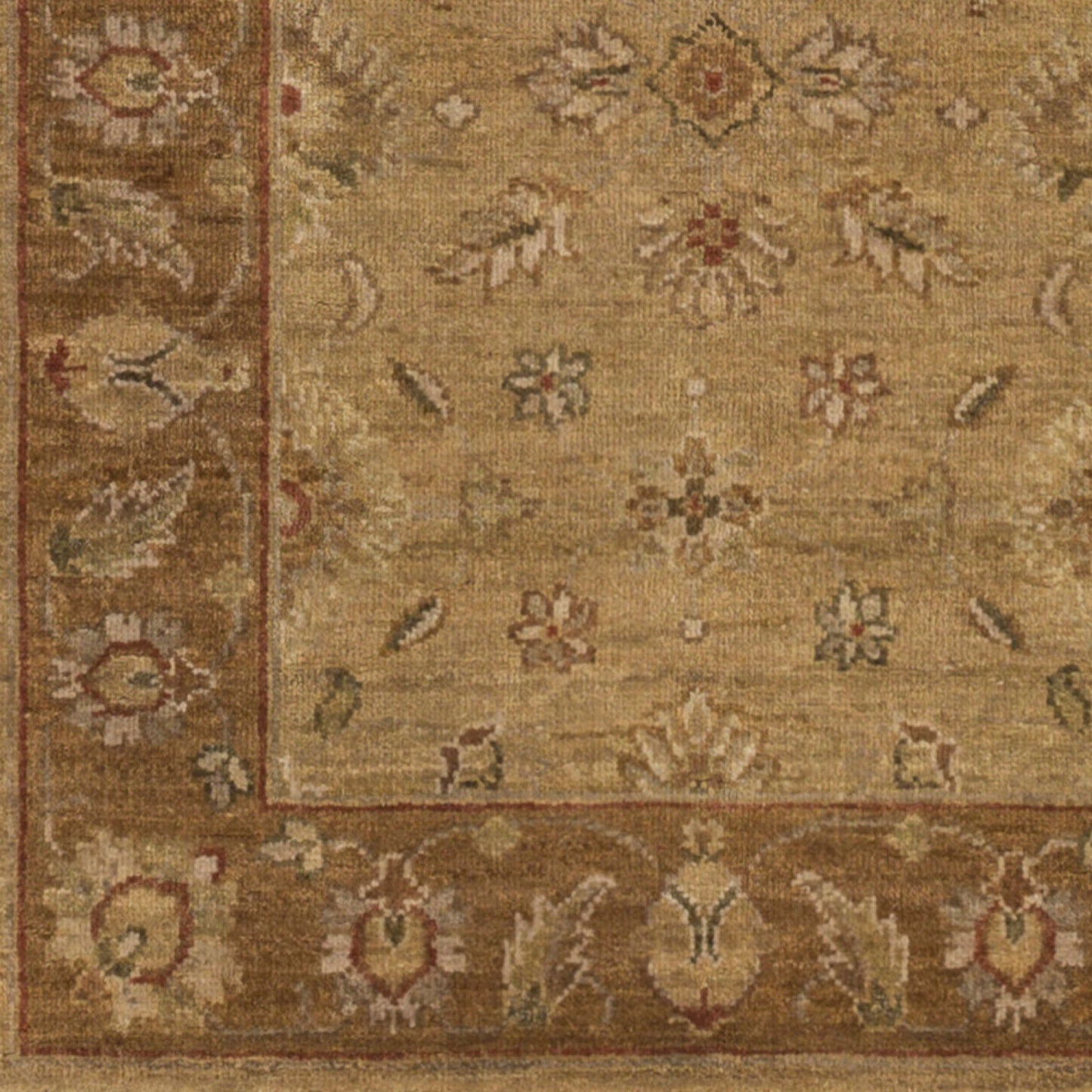 Alanya ALA-2503 2' x 3' Handmade Wool Accent Rug