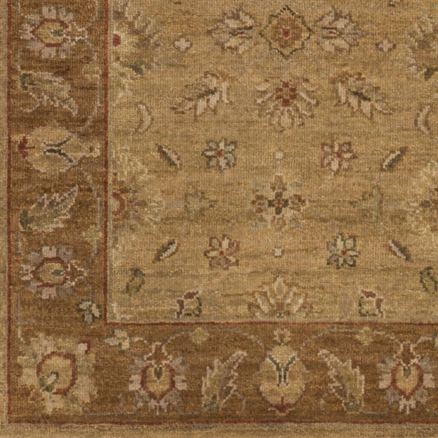 Alanya ALA-2503 Hand Knotted Rug