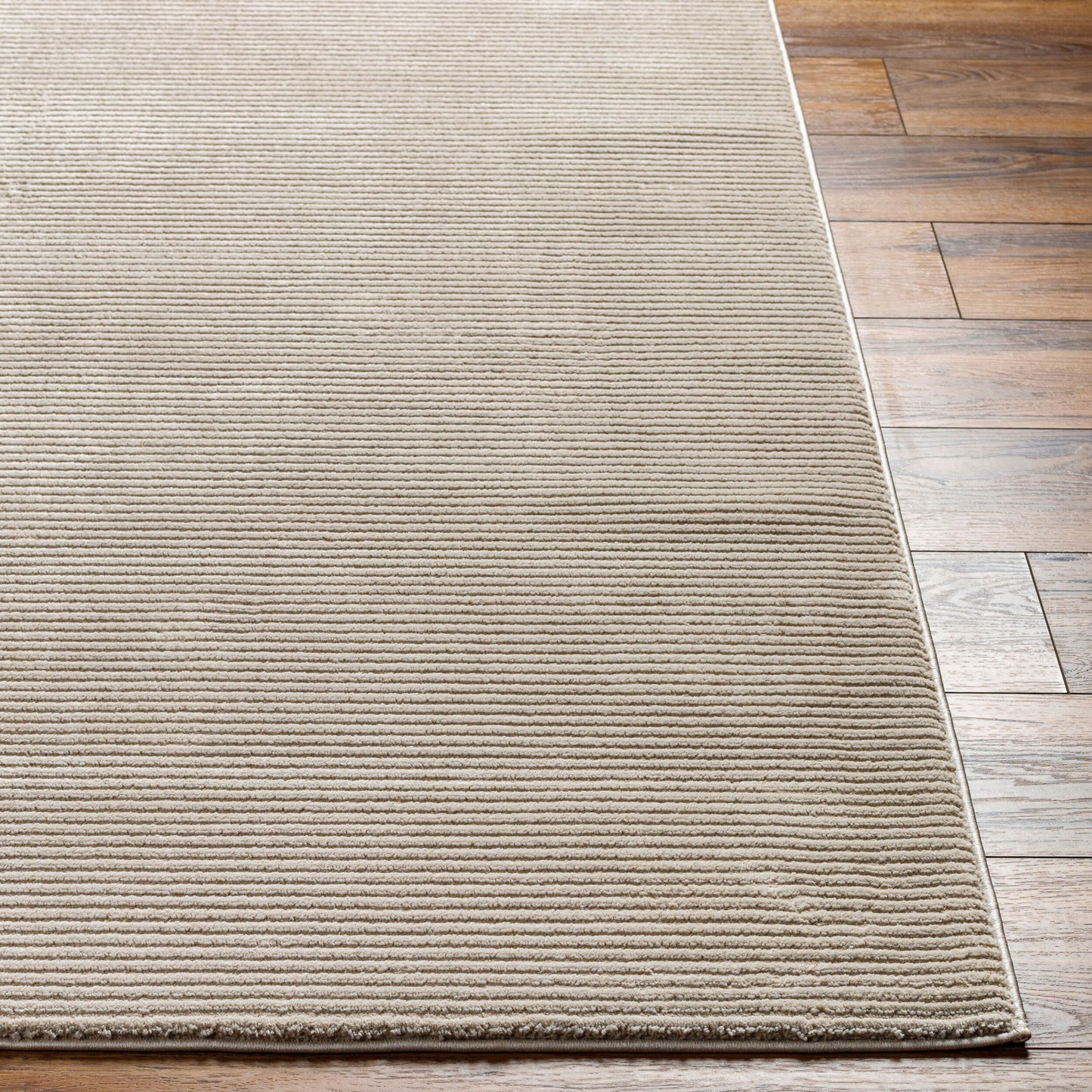 Alder ALD-2305 2' x 3' Machine Woven Washable Accent Rug