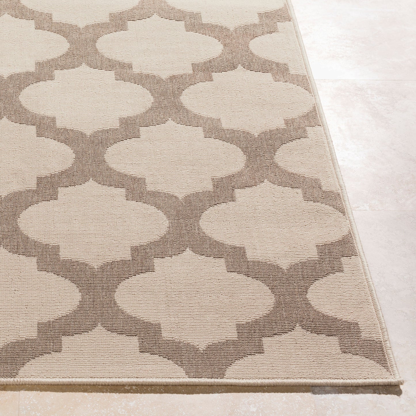 Alfresco ALF-9586 2' x 4' Machine Woven Indoor/Outdoor Accent Rug