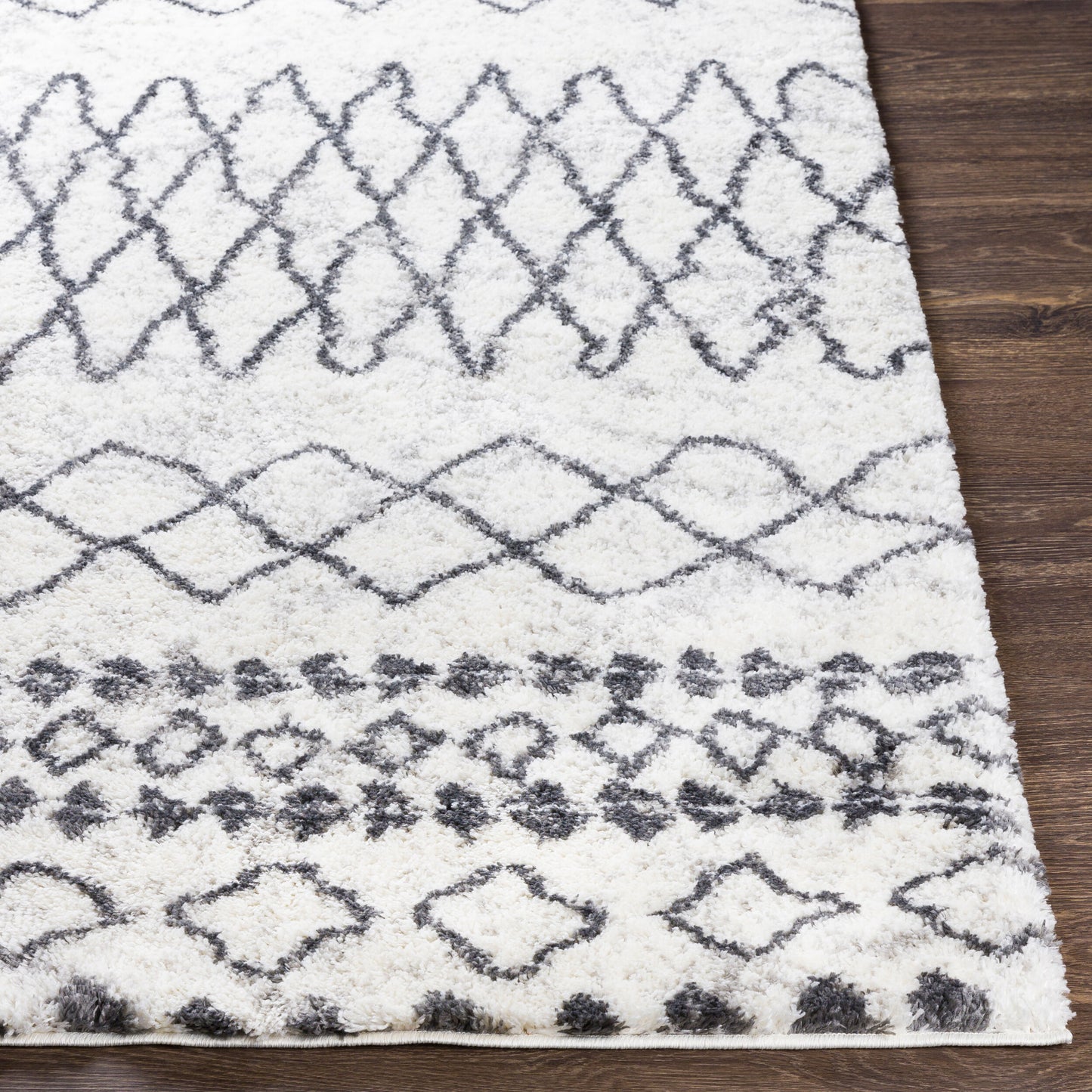 Aliyah Shag ALH-2311 5' x 7' Machine Woven Area Rug
