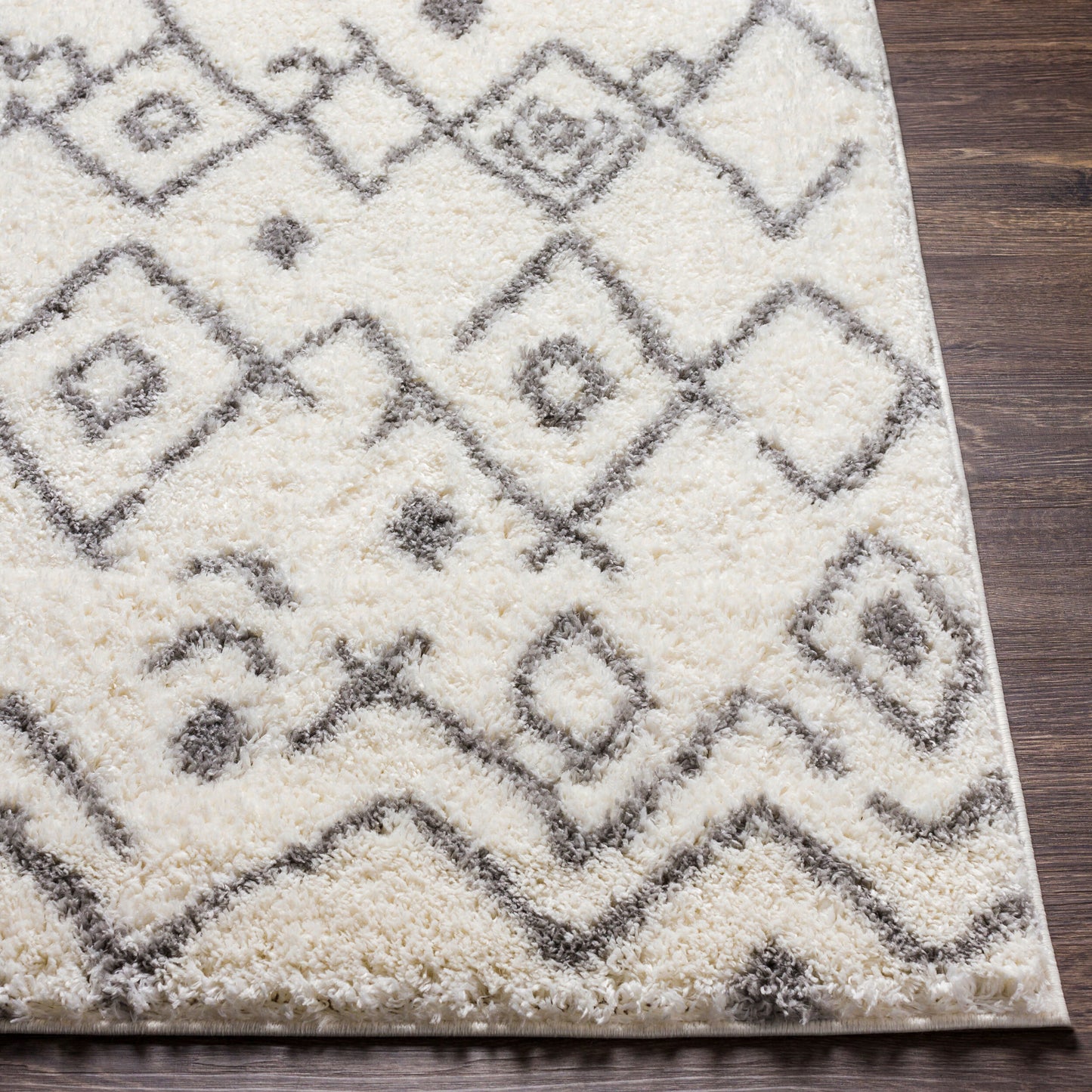 Alfombra decorativa tejida a máquina Aliyah Shag ALH-2316 de 2' x 3'