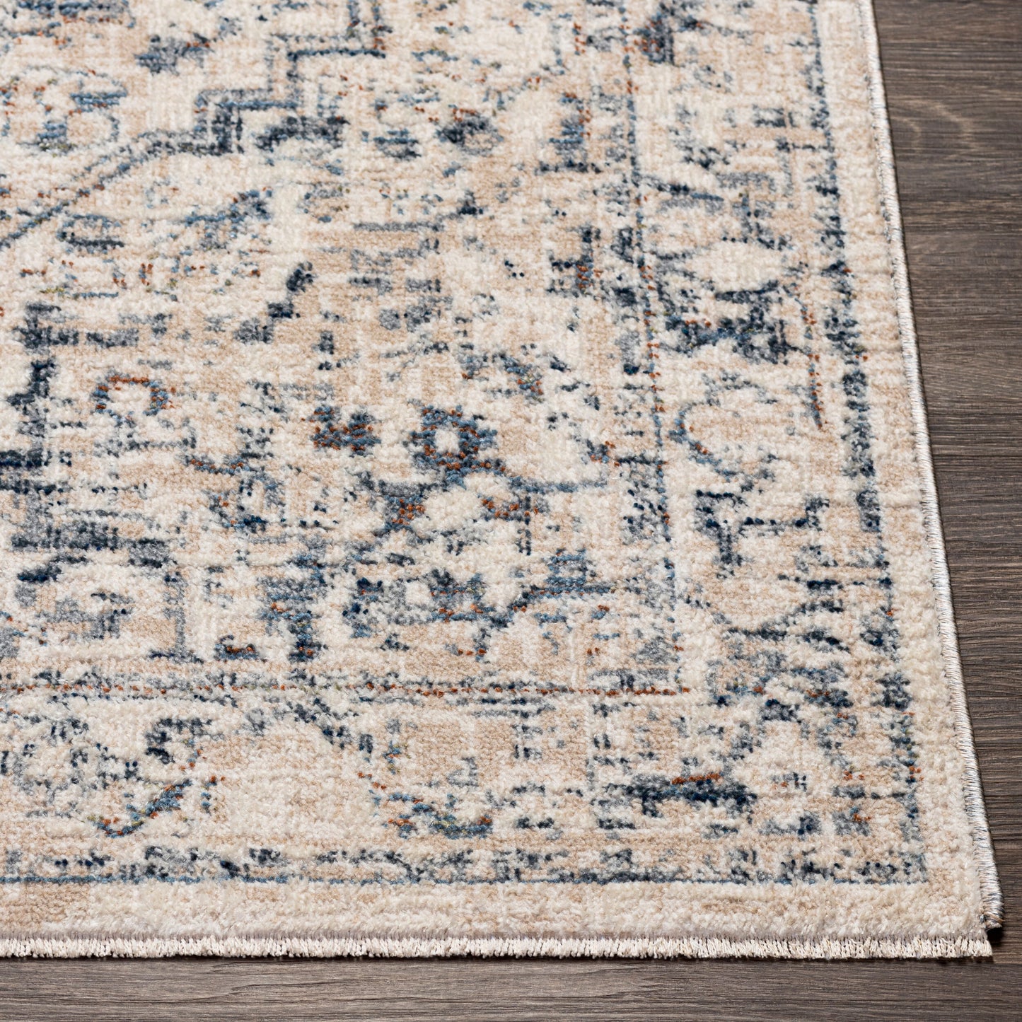 Amore AMO-2325 2'4" x 3'9" Machine Woven Accent Rug