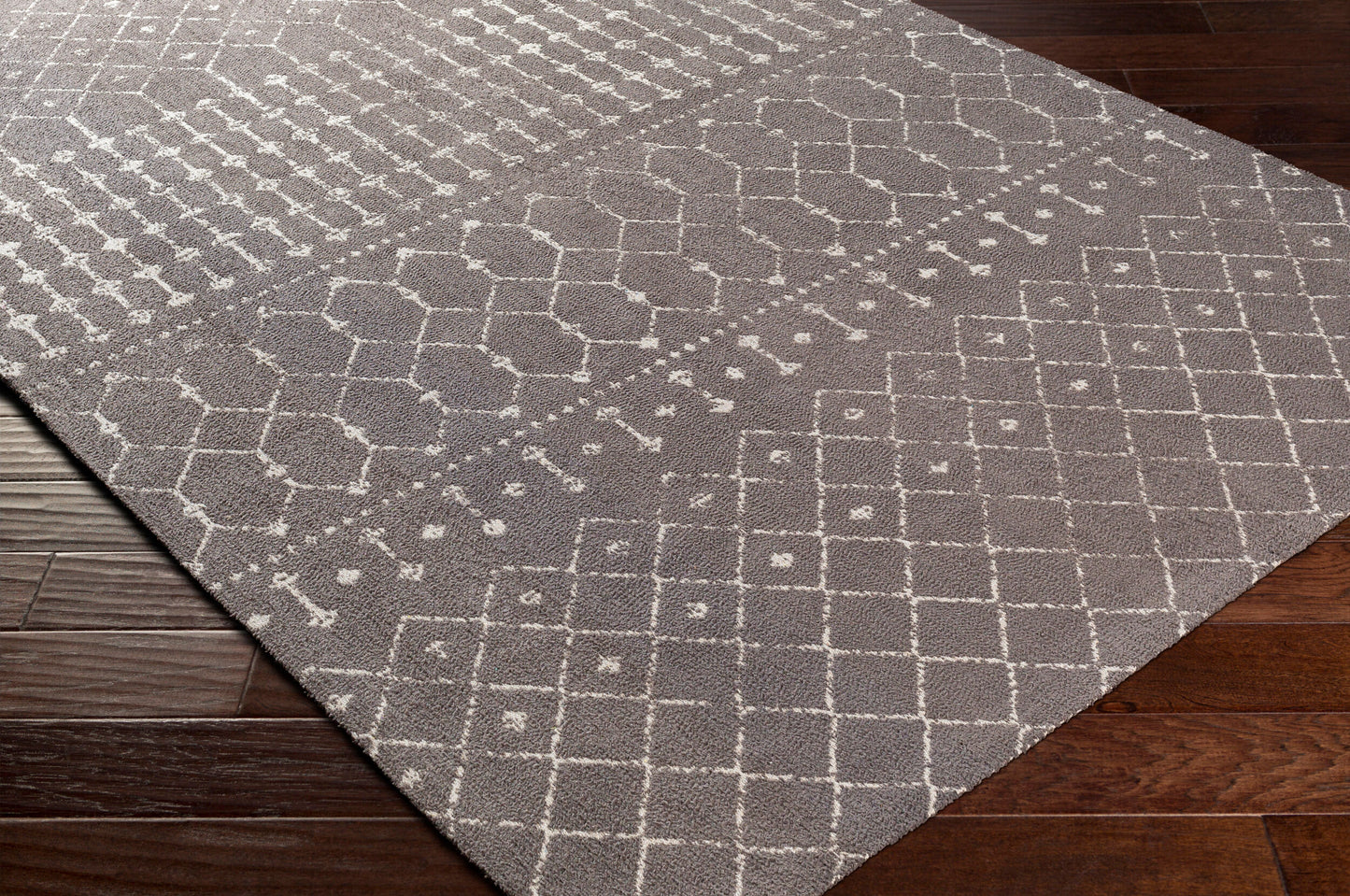 Amsterdam AMS-1026 2' x 3' Handmade Accent Rug