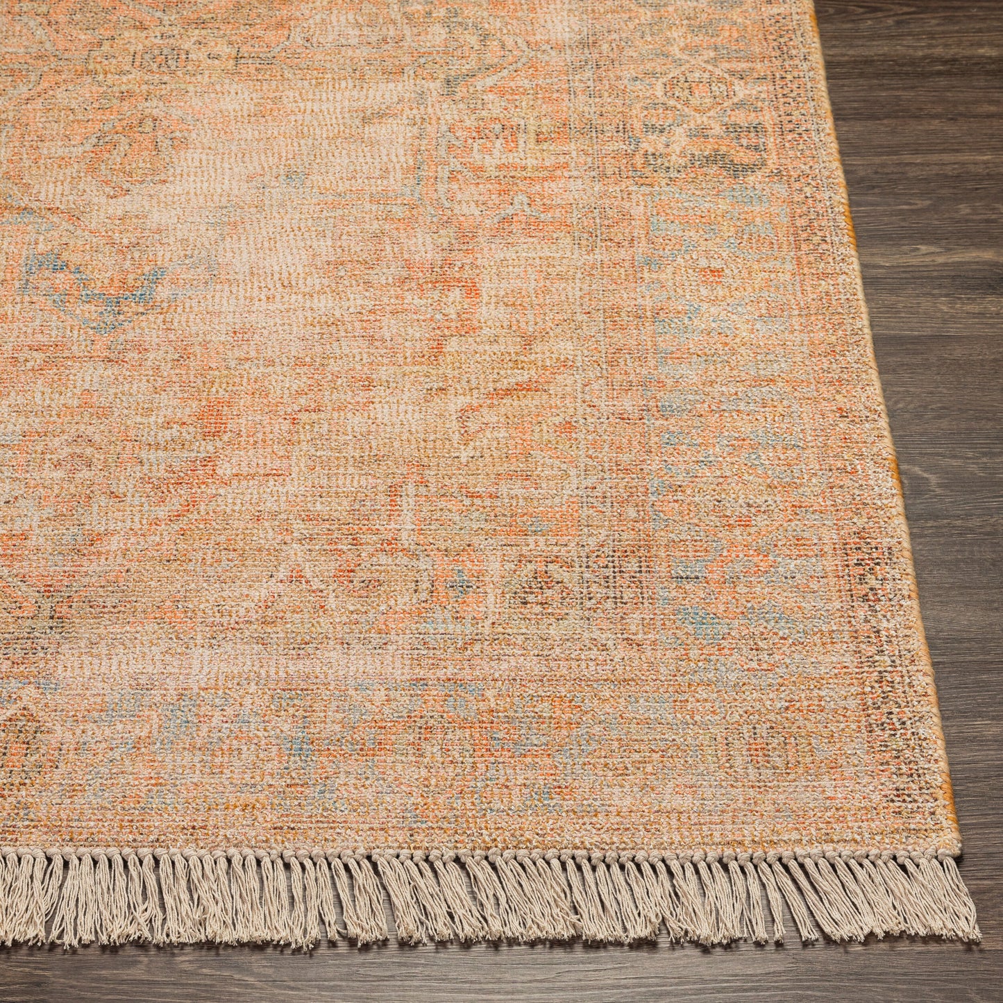 Amasya AMY-2305 2' x 3' Handmade Accent Rug
