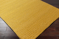 2' x 3'
