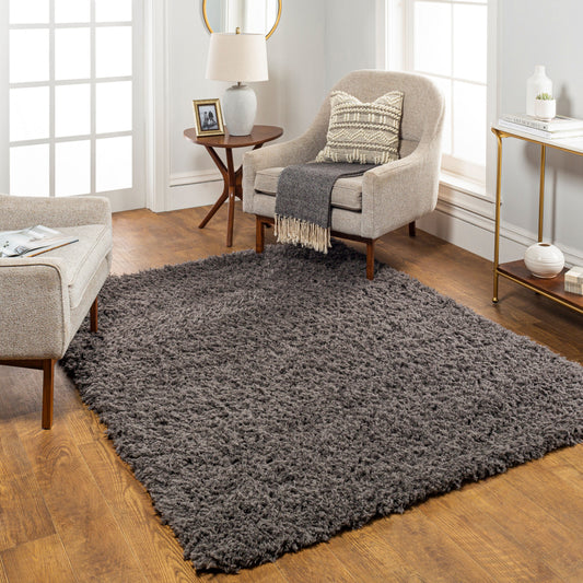 Angora ANG-2300 2' x 3' Machine Woven Accent Rug