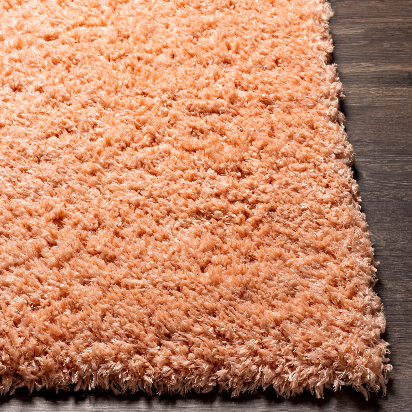 Angora ANG-2308 2' x 3' Machine Woven Accent Rug