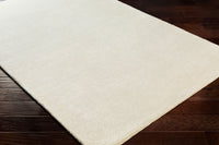 2' x 3'