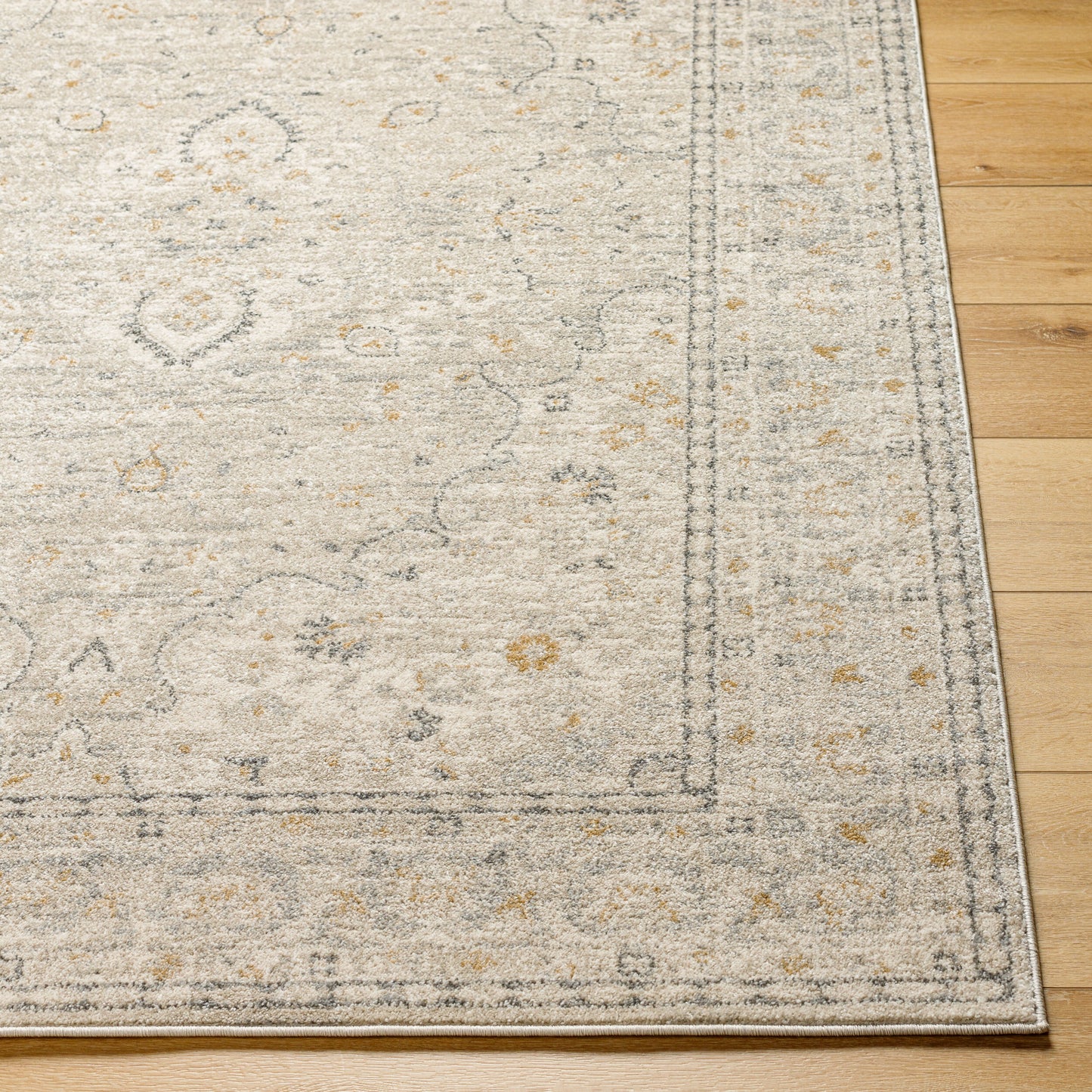 Alpharetta APH-2303 5' x 7' Machine Woven Area Rug