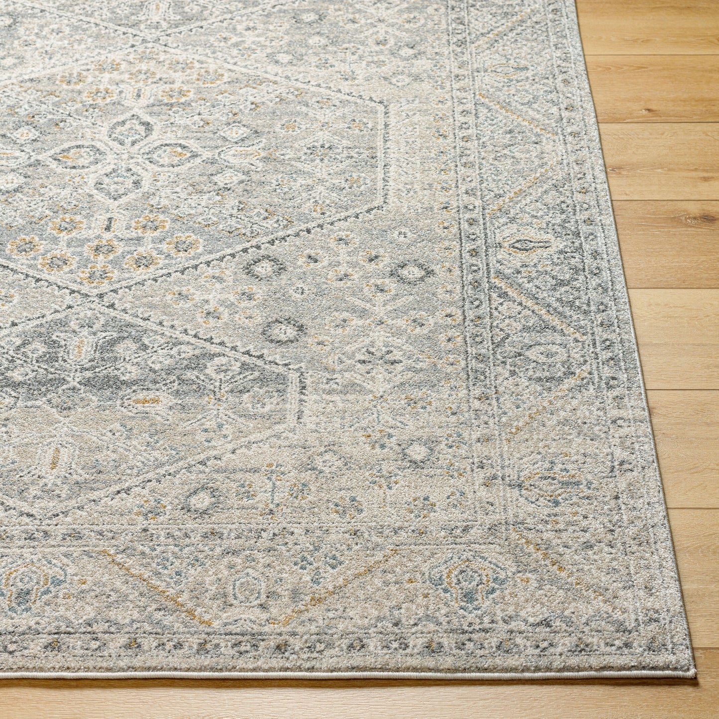 Alpharetta APH-2314 5' x 7' Machine Woven Area Rug