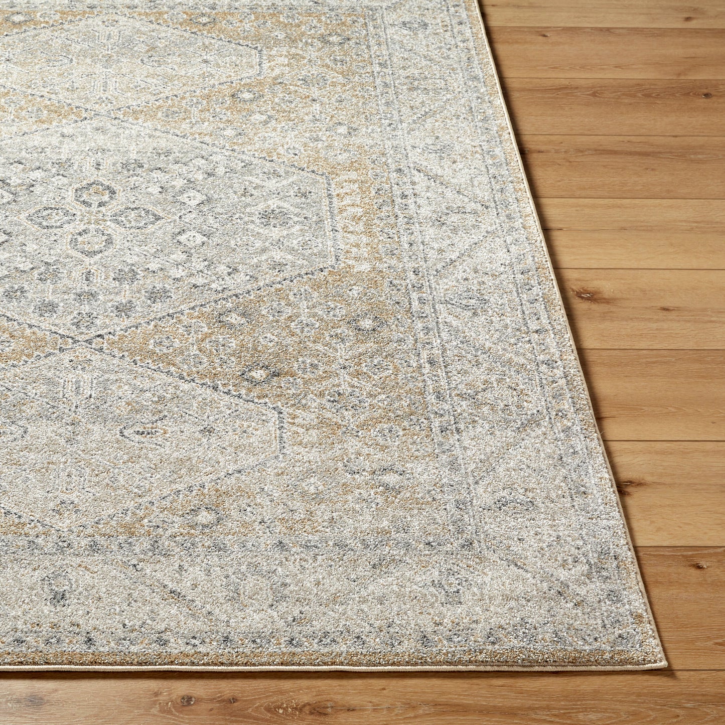 Alpharetta APH-2315 5' x 7' Machine Woven Area Rug