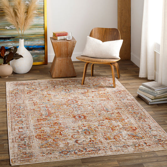 Aspendos APS-2318 2' x 3' Machine Woven Accent Rug