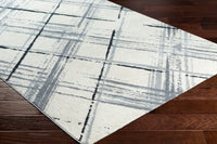 2' x 3'