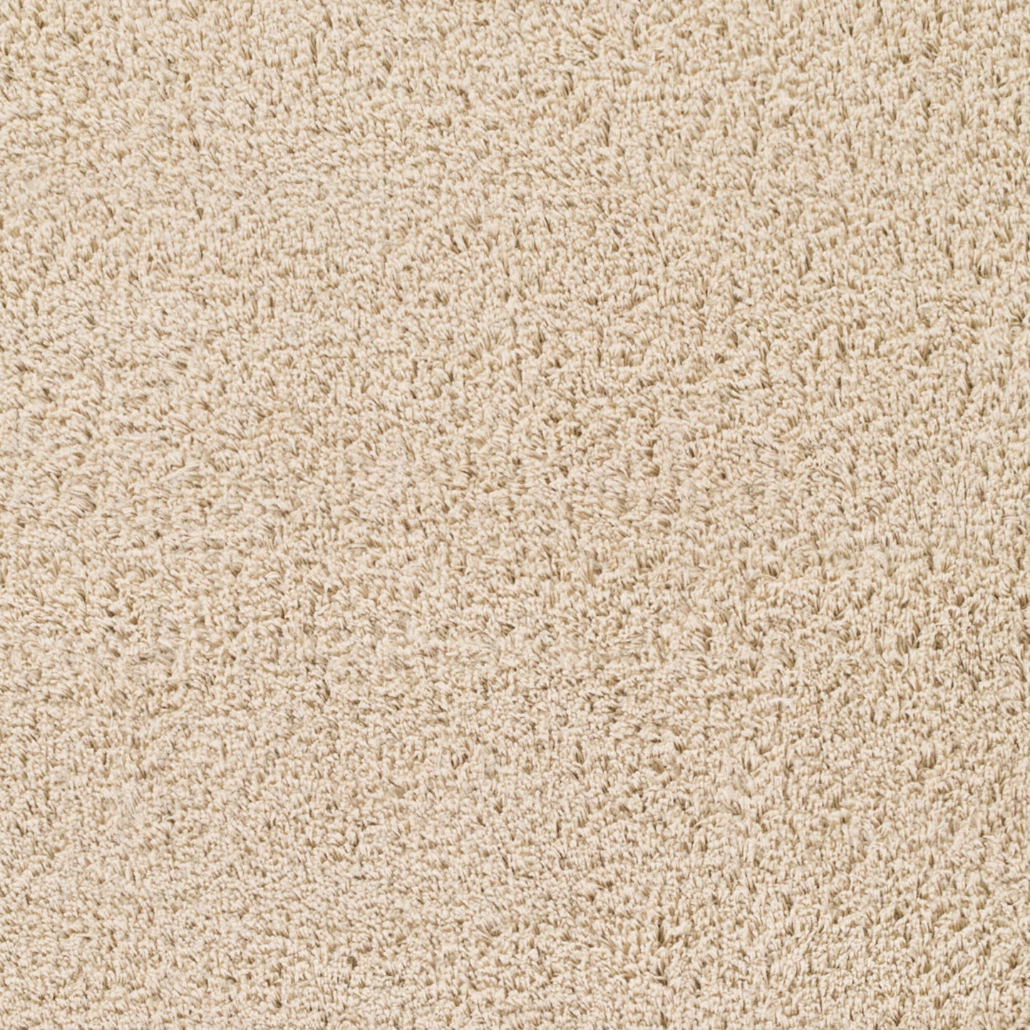 Arlie ARE-9006 4' x 6' Machine Woven Area Rug