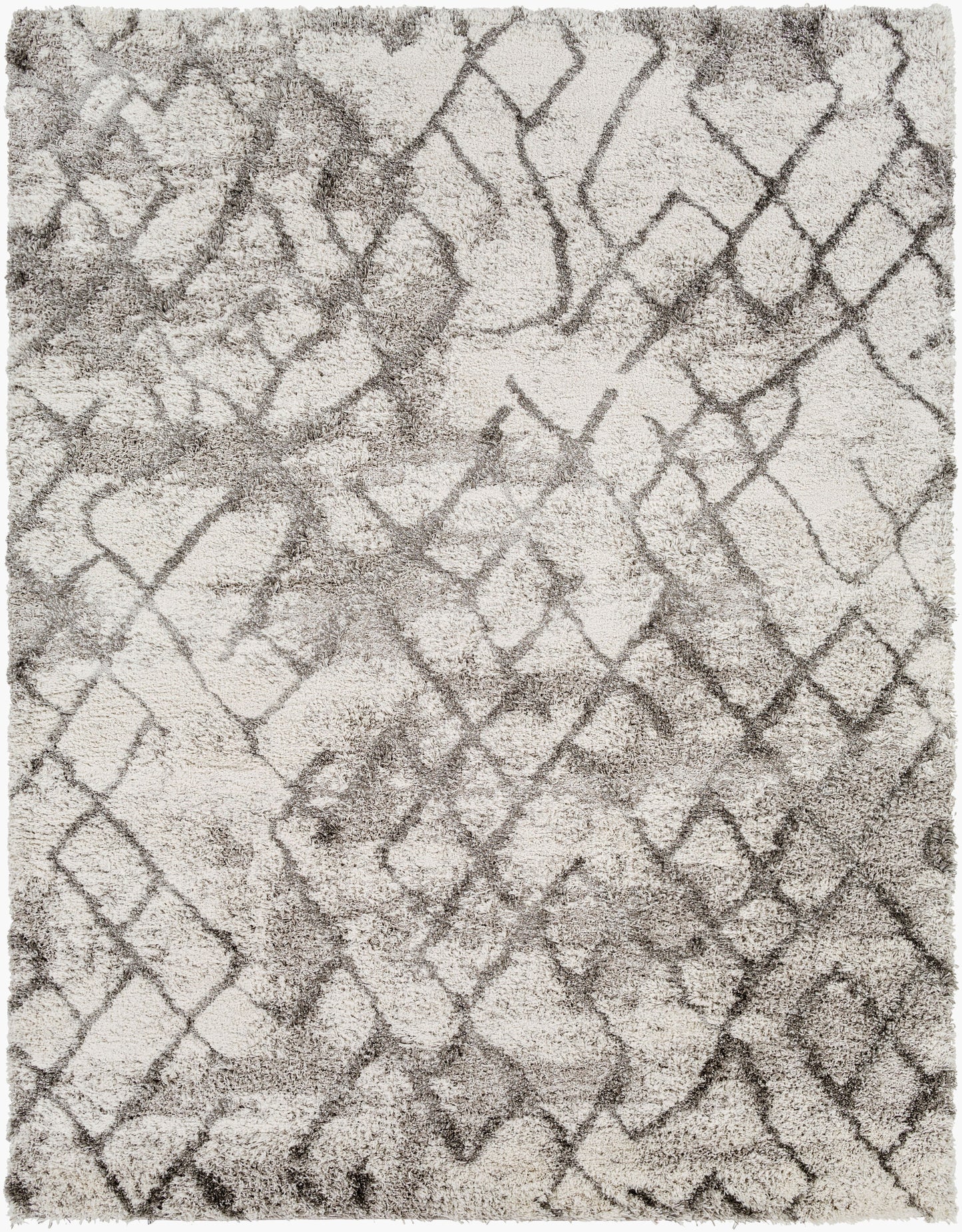 Alta Shag ASG-2300 8' x 10' Machine Woven Area Rug