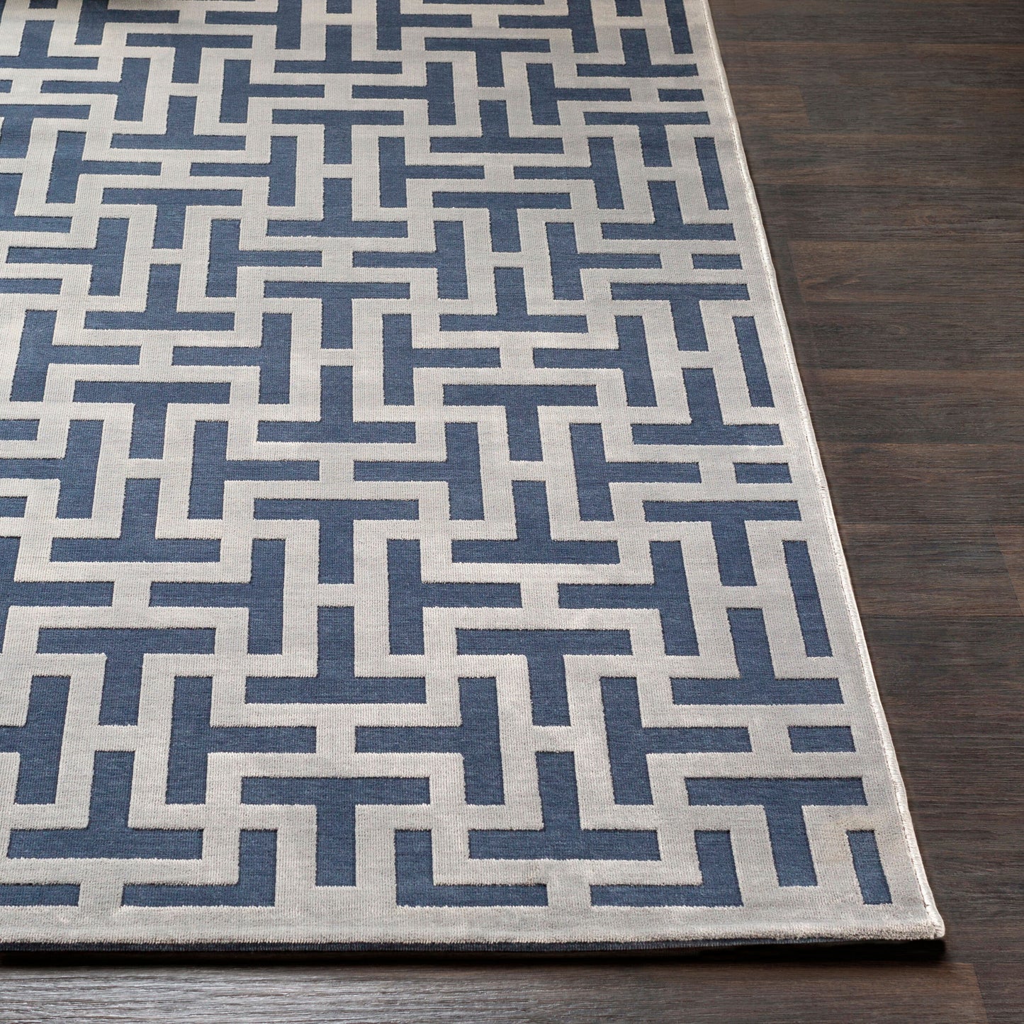 Alfombra decorativa tejida a máquina Aesop ASP-2312 de 2' x 3'