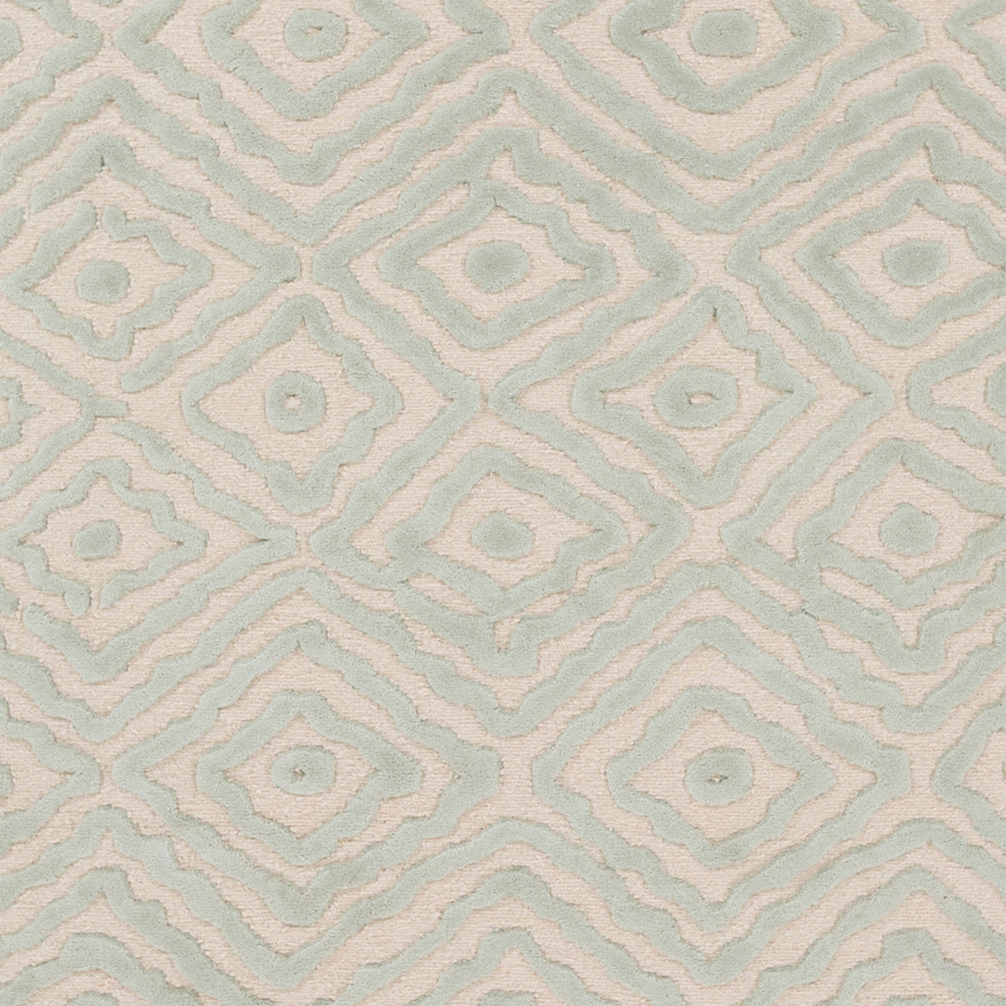 Alfombra decorativa de lana hecha a mano Atlas ATS-1007 de 2' x 3'