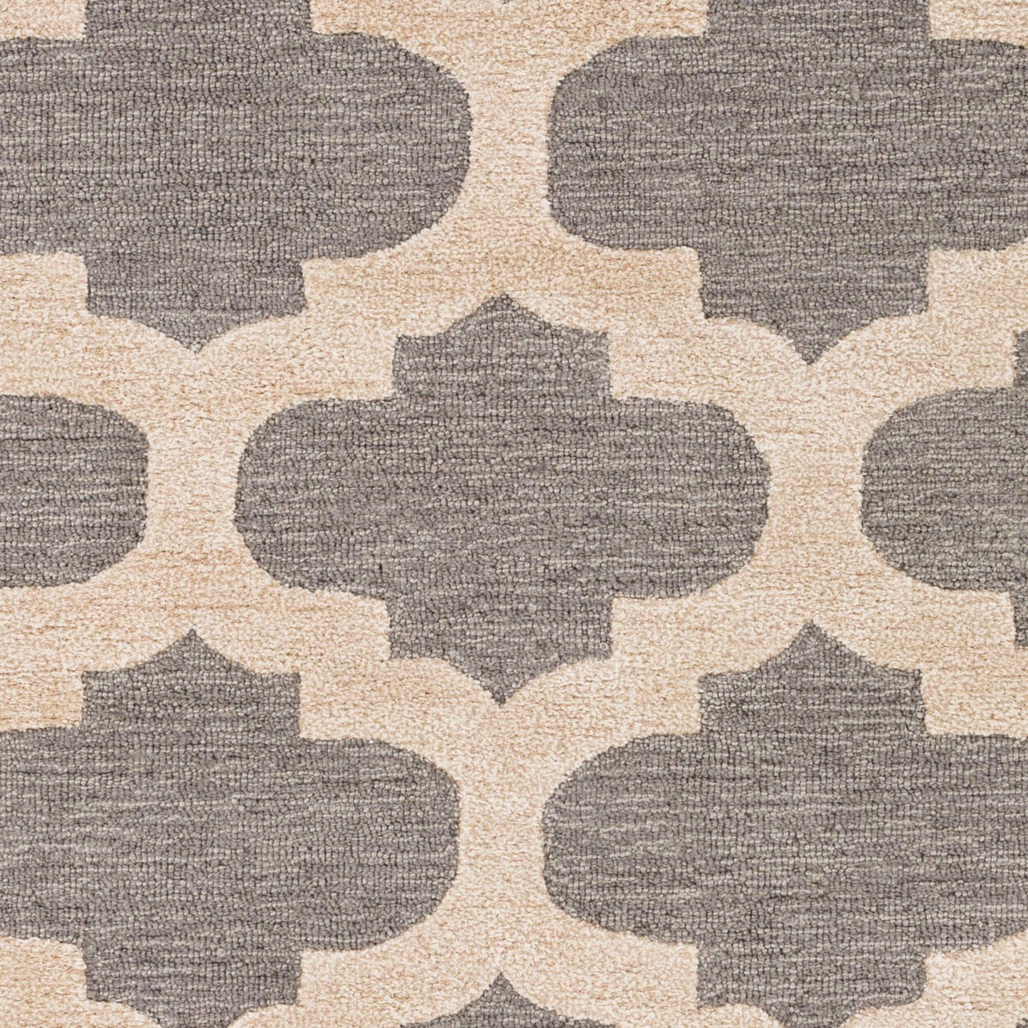 Arise AWRS-2125 9' x 12' Handmade Area Rug