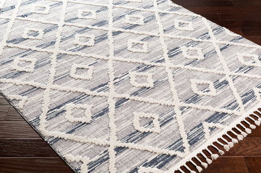 Azilal AZI-2301 2' x 3' Machine Woven Accent Rug