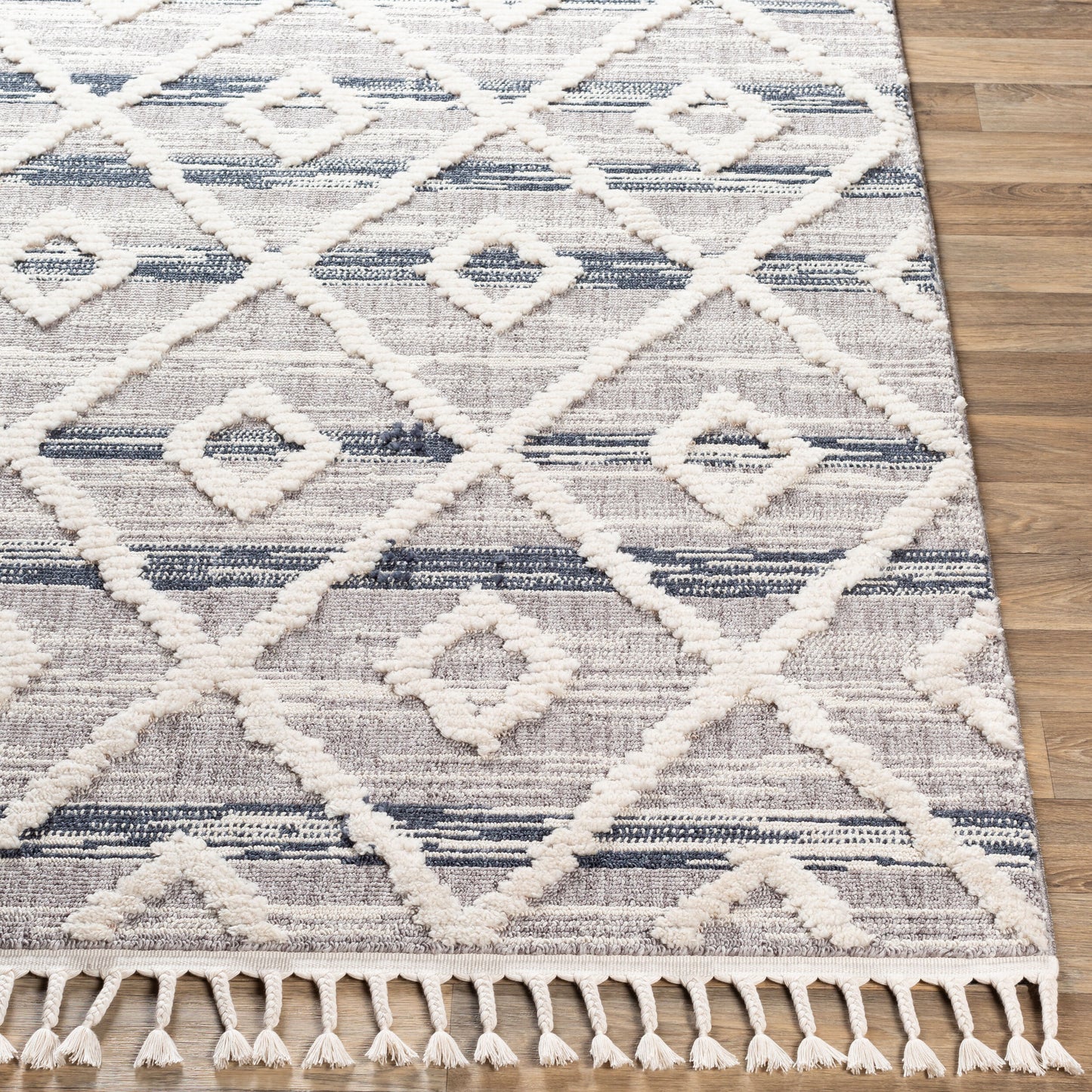 Azilal AZI-2301 2' x 3' Machine Woven Accent Rug