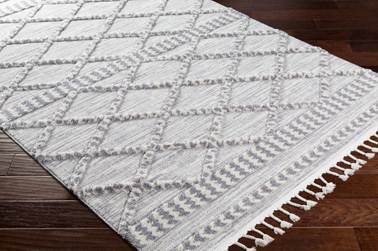 Azilal AZI-2310 2' x 3' Machine Woven Accent Rug