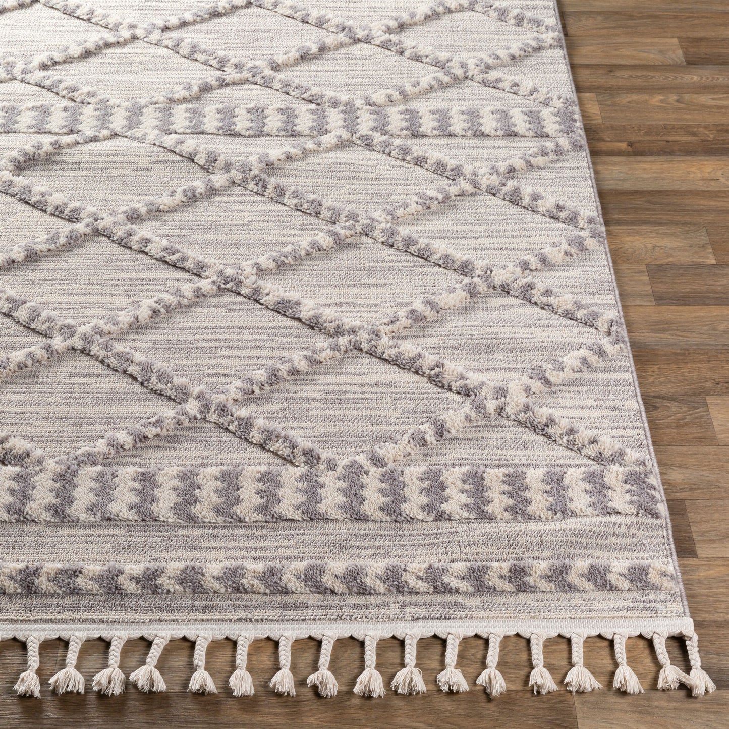 Azilal AZI-2310 2' x 3' Machine Woven Accent Rug