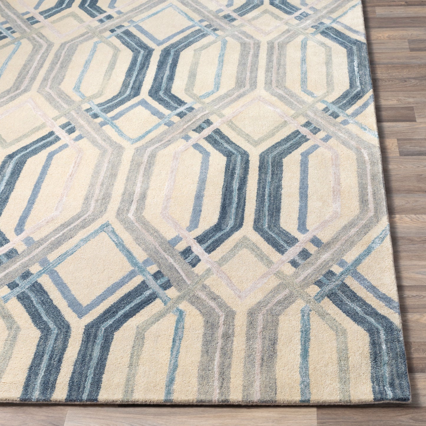 Banshee BAN-3390 2' x 3' Handmade Accent Rug