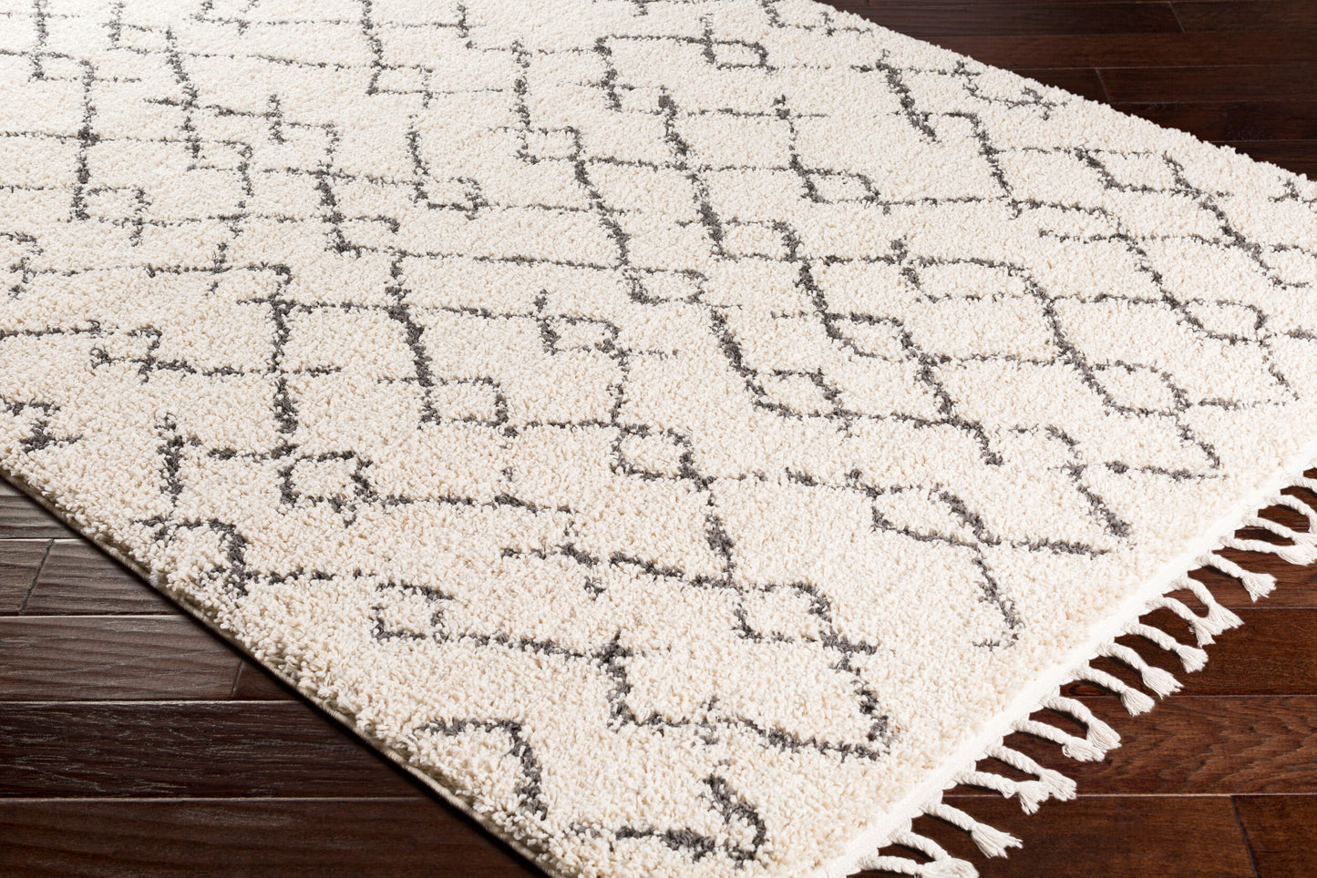 Berber Shag BBE-2301 5' x 7' Machine Woven Area Rug