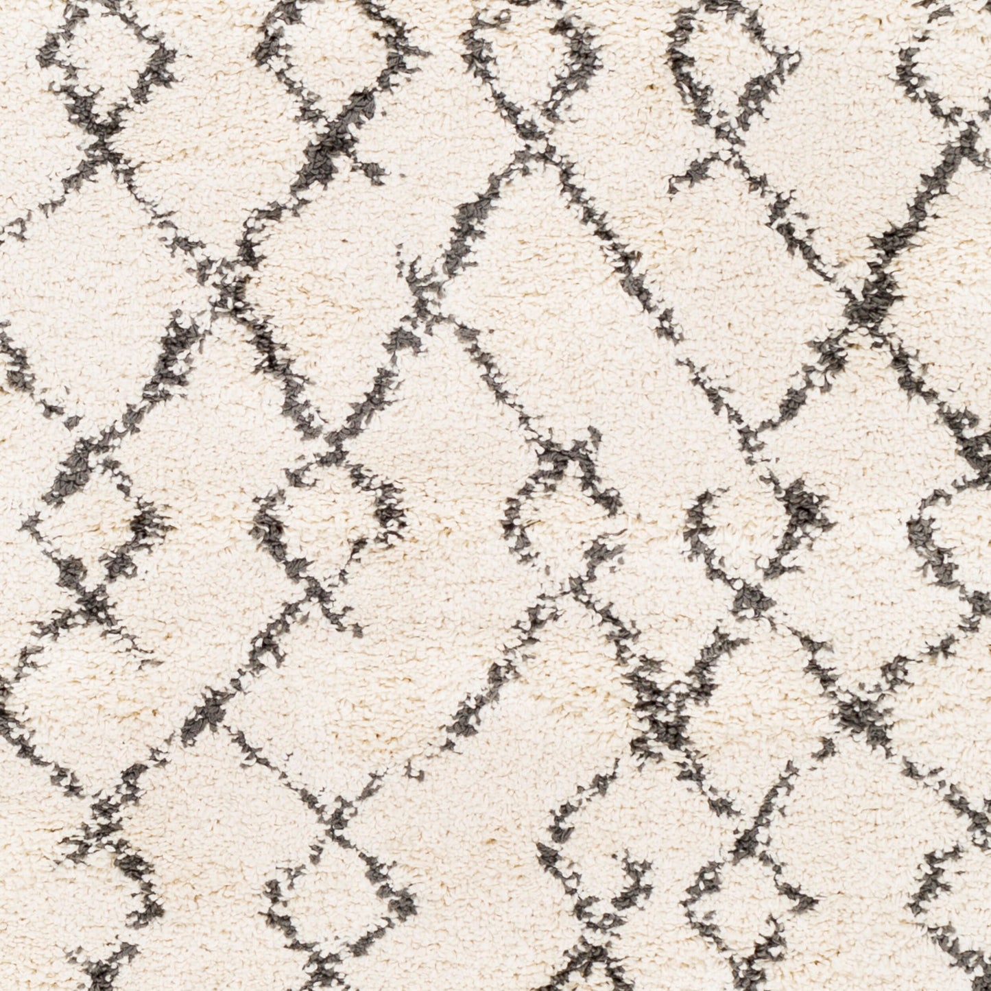 Berber Shag BBE-2301 5' x 7' Machine Woven Area Rug