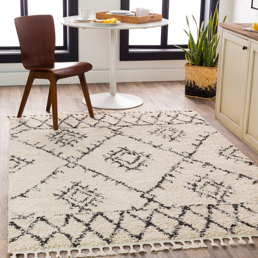 Berber Shag BBE-2305 5' x 7' Machine Woven Area Rug