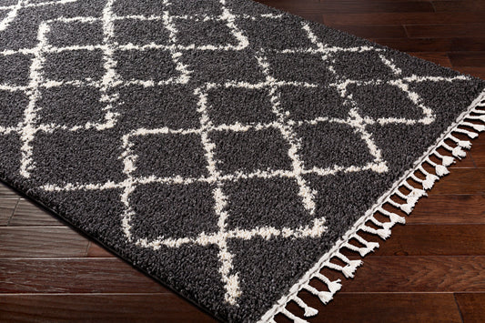 Berber Shag BBE-2307 6' x 9' Machine Woven Area Rug
