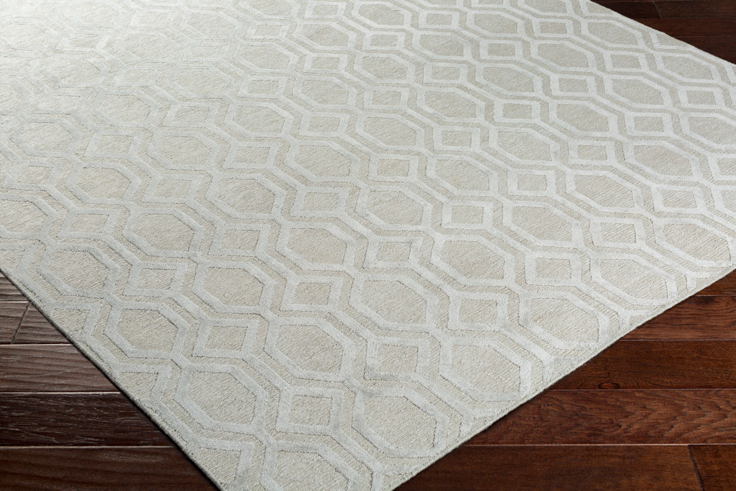Belvoire BEL-3001 2' x 3' Handmade Accent Rug