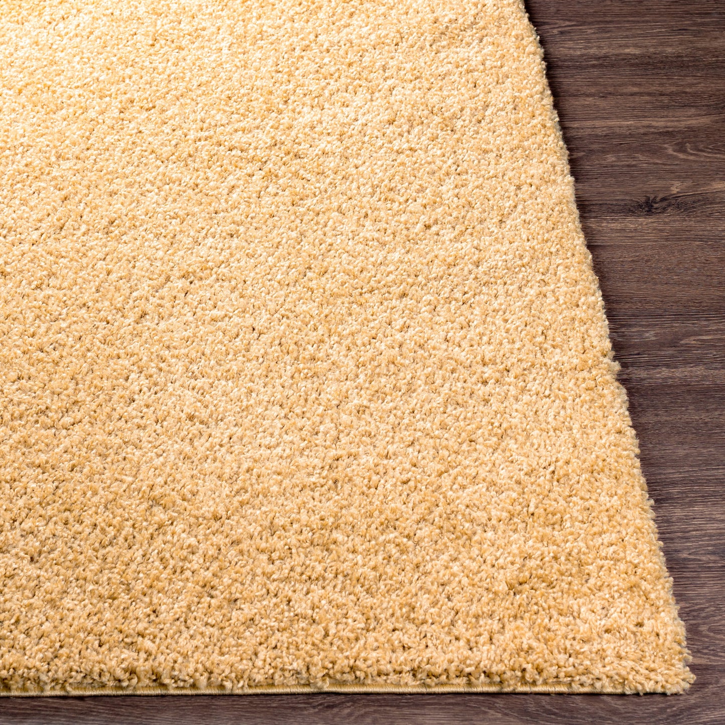 Bliss Shag BLI-2304 2' x 3' Machine Woven Accent Rug