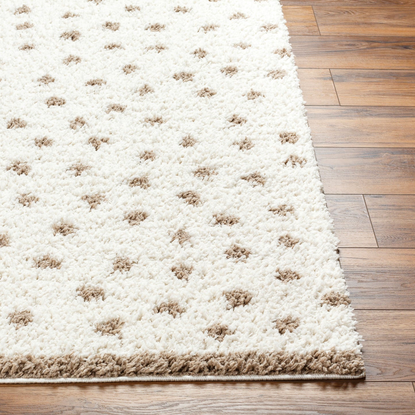Birmingham BMM-2303 5' x 7' Machine Woven Area Rug